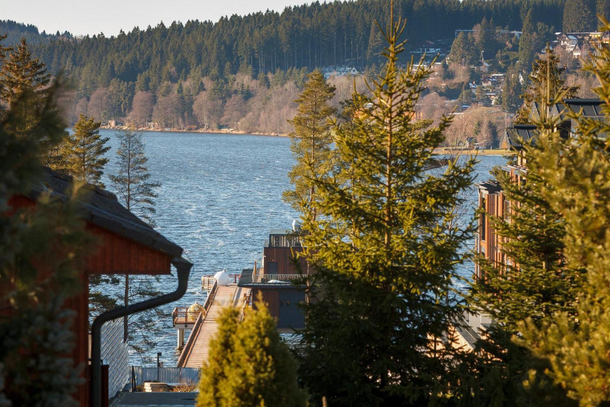 Vila Rozinka Lipno Lipno nad Vltavou Bagian luar foto