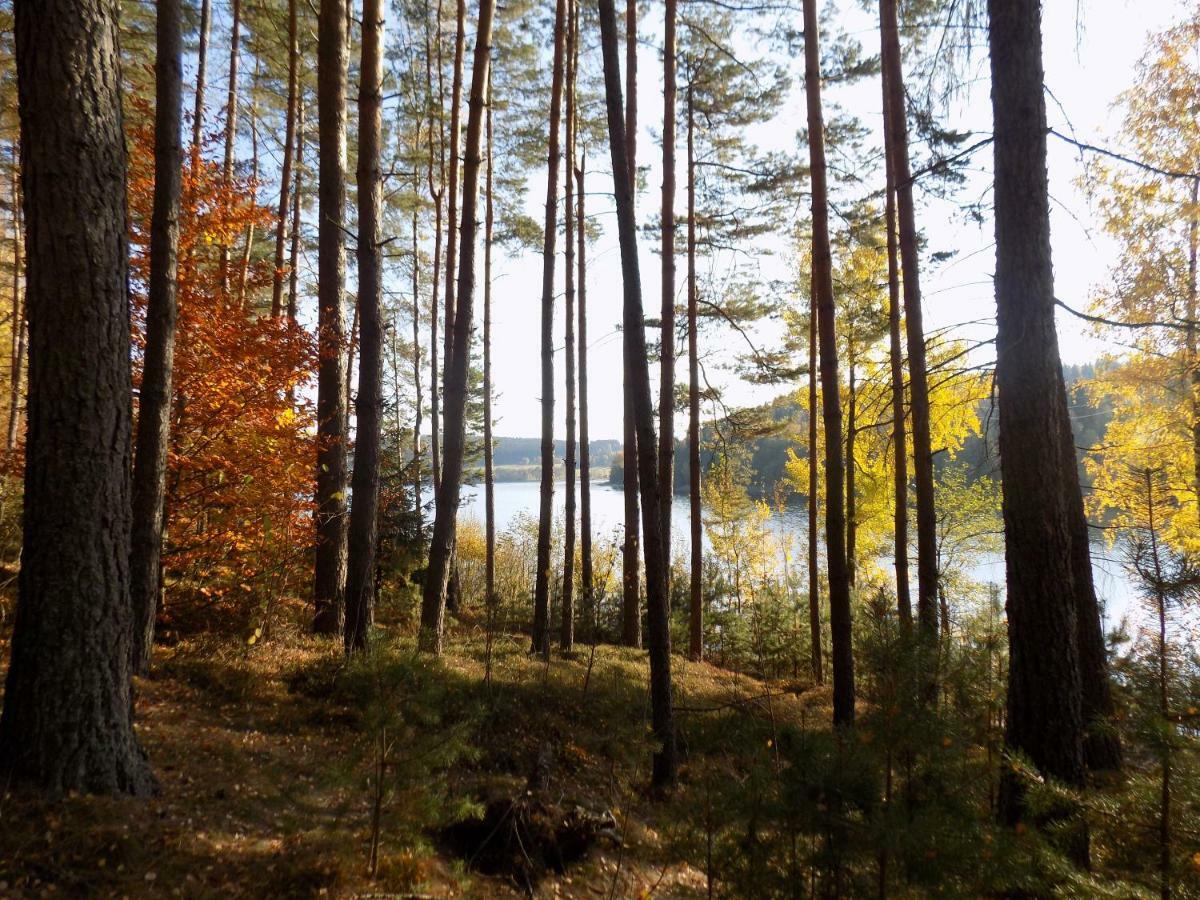 Vila Rozinka Lipno Lipno nad Vltavou Bagian luar foto